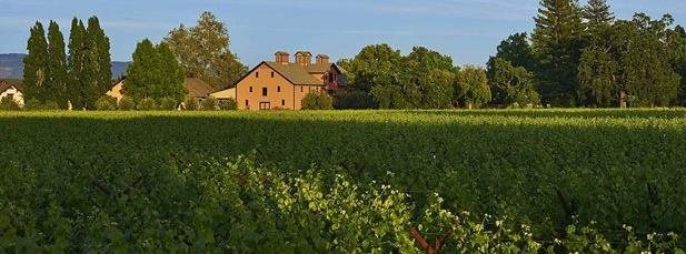 small-scale carbon capture for wineries